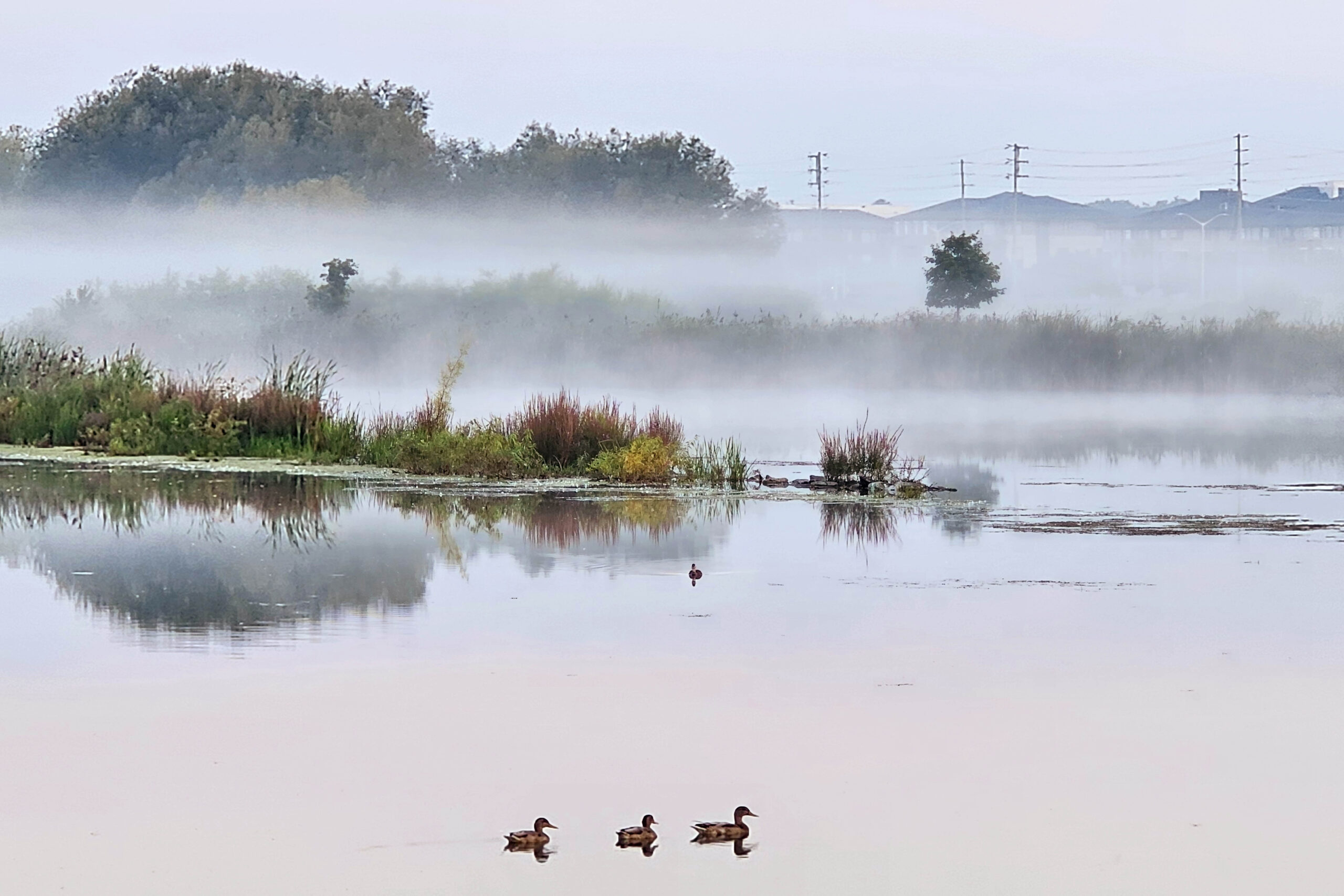 Copy of 13.雾池行影