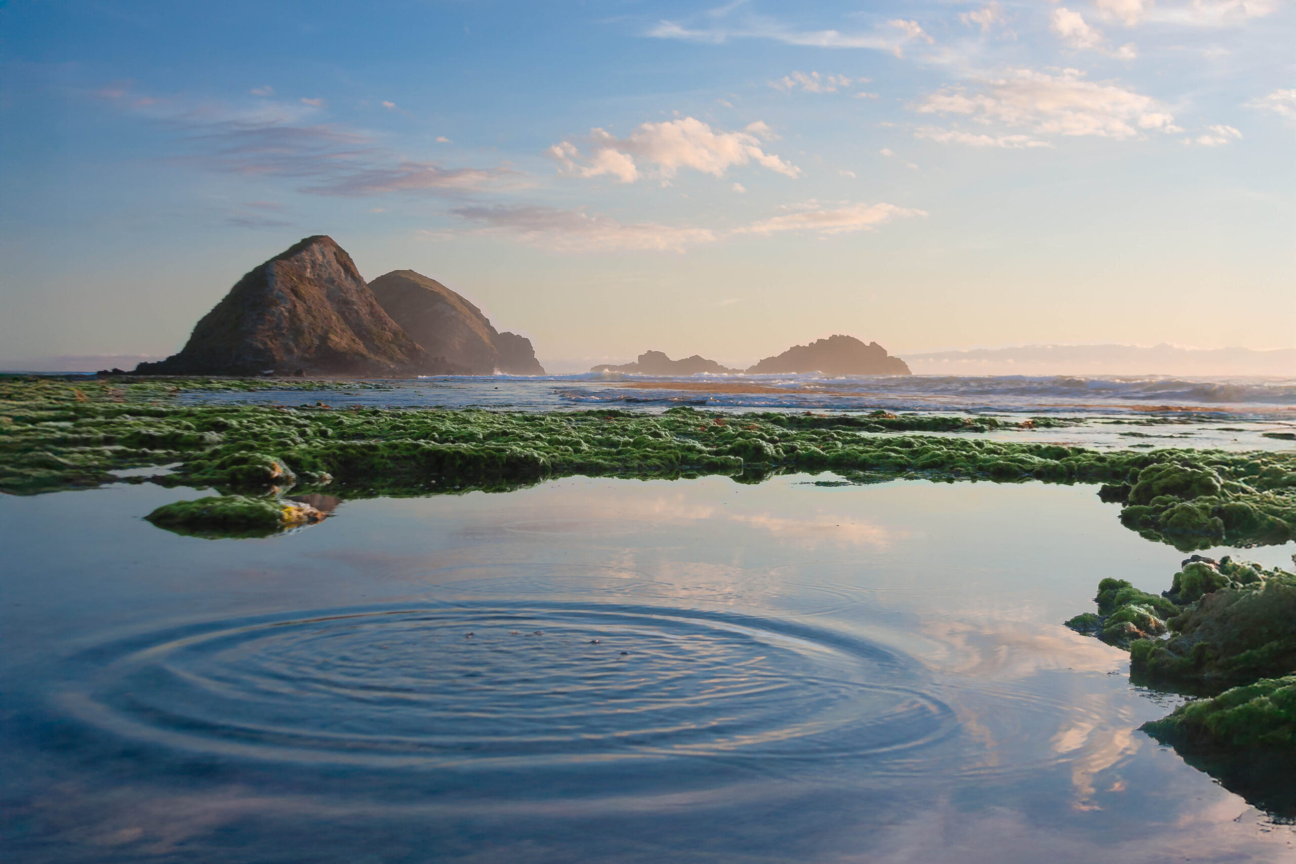 Copy of 34.Serving Nature